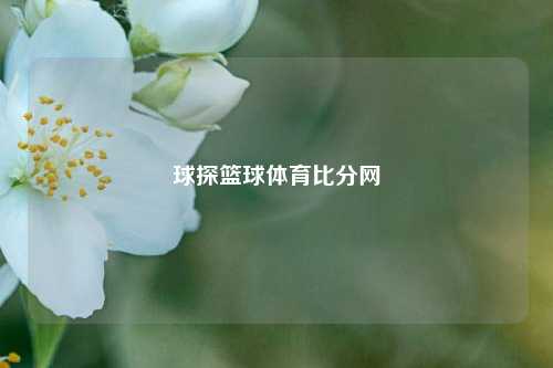 球探篮球体育比分网
