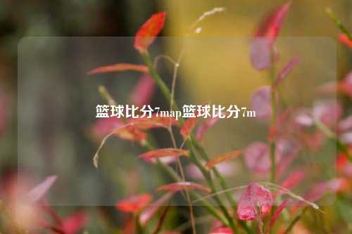 篮球比分7map篮球比分7m
