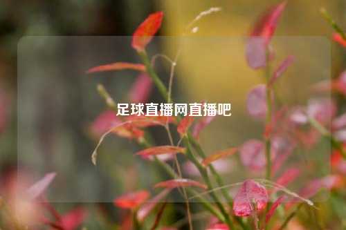 足球直播网直播吧