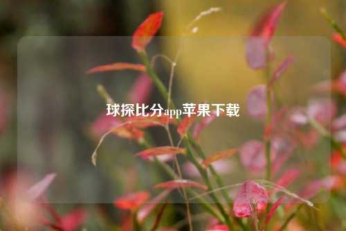 球探比分app苹果下载