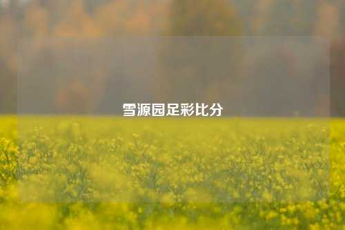 雪源园足彩比分