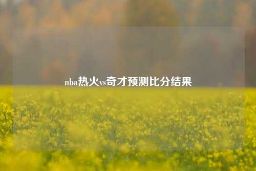 nba热火vs奇才预测比分结果