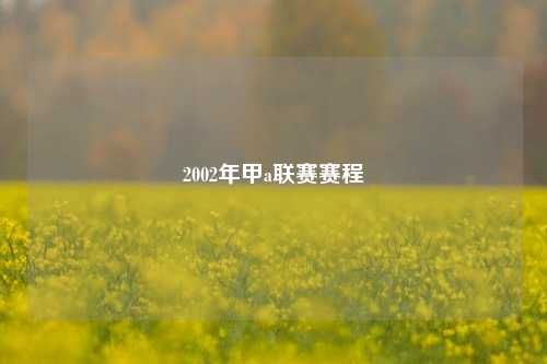 2002年甲a联赛赛程