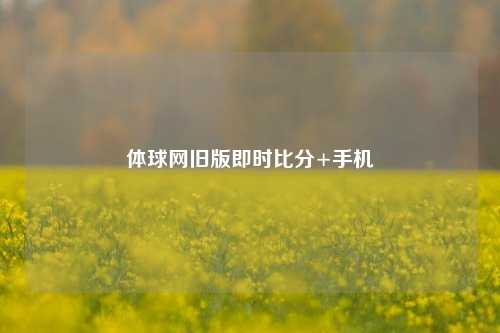 体球网旧版即时比分+手机