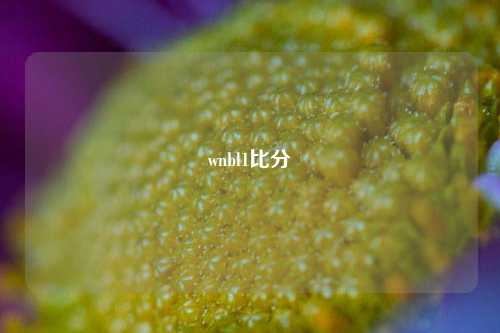 wnbl1比分