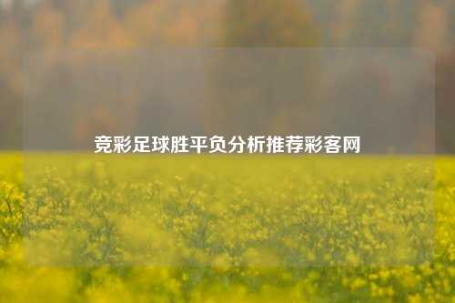 竞彩足球胜平负分析推荐彩客网
