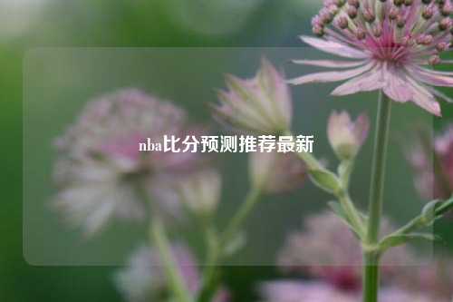 nba比分预测推荐最新