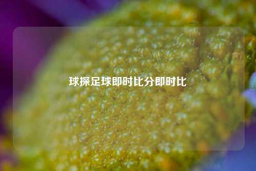 球探足球即时比分即时比
