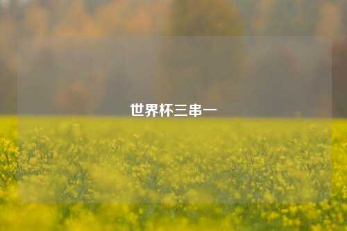 世界杯三串一