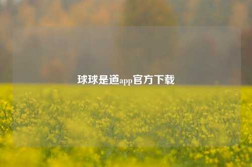 球球是道app官方下载