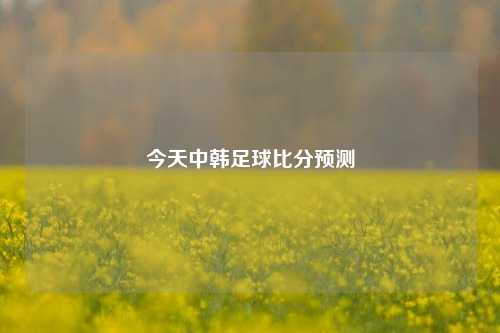 今天中韩足球比分预测