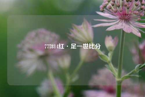 777814红·足一世比分