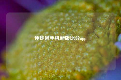 体球网手机新版比分app