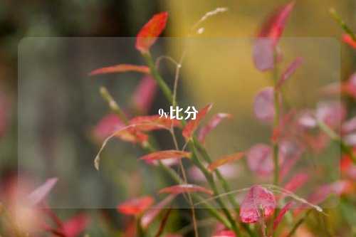 9v比分