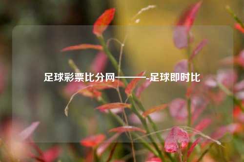 足球彩票比分网———-足球即时比