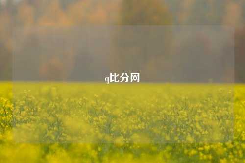 q比分网