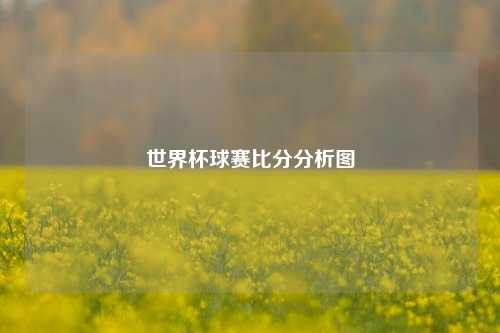 世界杯球赛比分分析图
