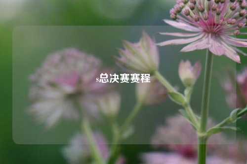 s总决赛赛程