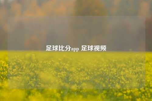 足球比分app 足球视频