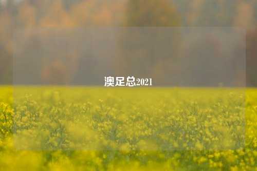 澳足总2021