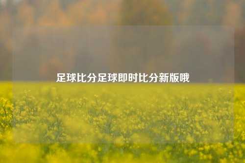 足球比分足球即时比分新版哦