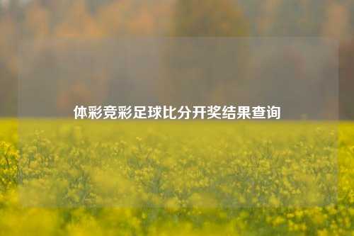 体彩竞彩足球比分开奖结果查询