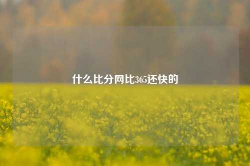 什么比分网比365还快的
