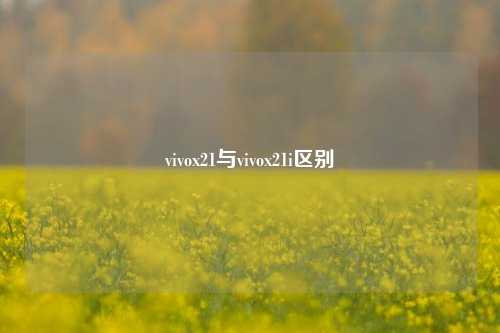 vivox21与vivox21i区别