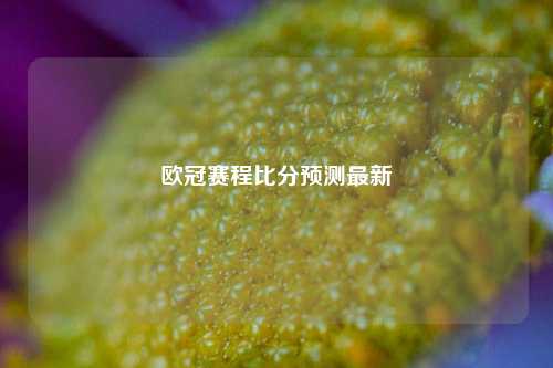 欧冠赛程比分预测最新