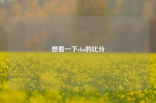 想看一下cba的比分
