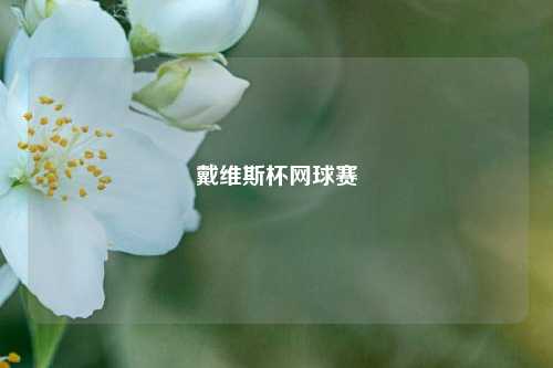 戴维斯杯网球赛