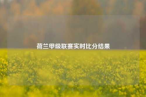 荷兰甲级联赛实时比分结果