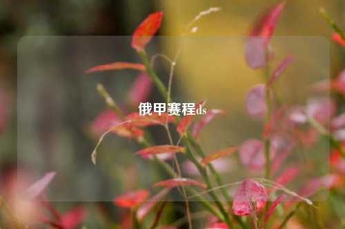 俄甲赛程ds