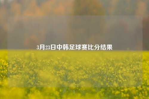 3月23日中韩足球赛比分结果