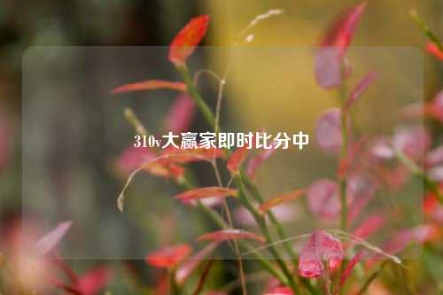 310v大赢家即时比分中