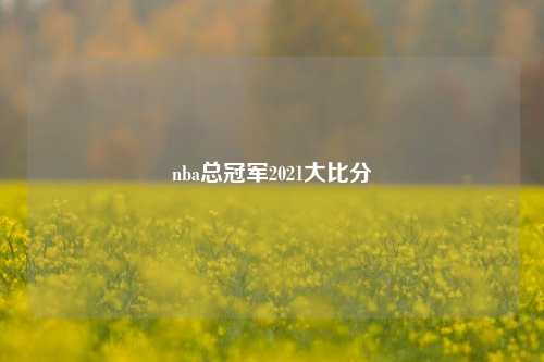nba总冠军2021大比分
