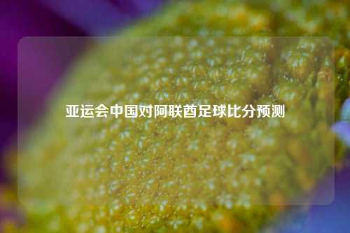 亚运会中国对阿联酋足球比分预测