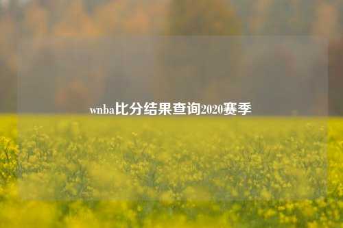 WNBA比分结果查询2020赛季