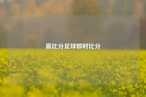 赢比分足球即时比分