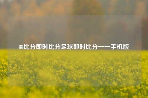 足球比赛比分