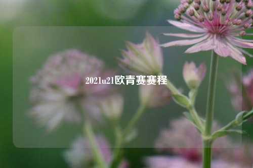 2021u21欧青赛赛程