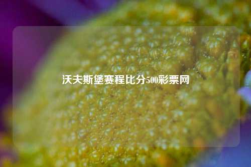 沃夫斯堡赛程比分500彩票网