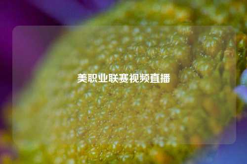 美职业联赛视频直播