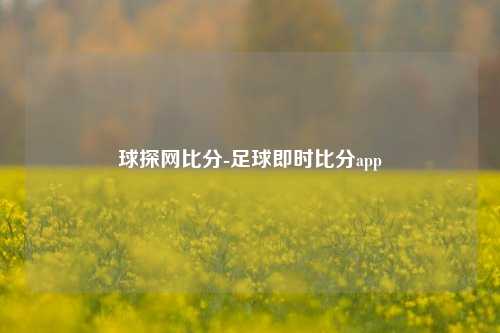 球探网比分-足球即时比分app