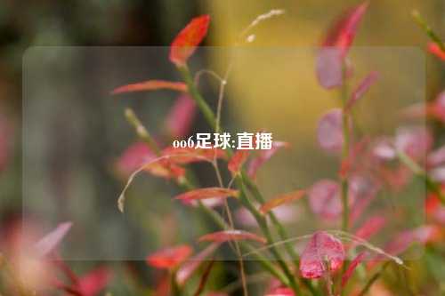 oo6足球:直播
