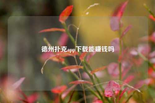德州扑克app下载能赚钱吗