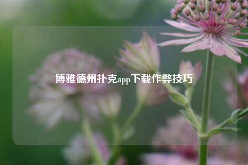 博雅德州扑克app下载作弊技巧